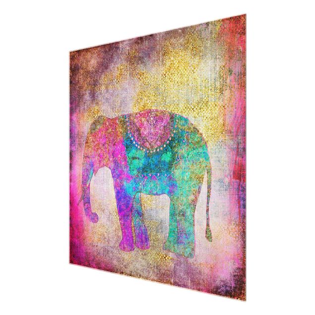 Glasbilder Bunte Collage - Indischer Elefant