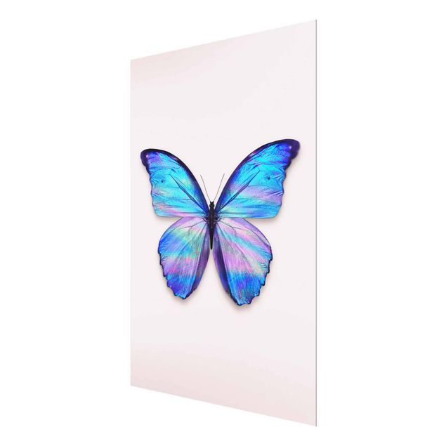 Glasbild - Jonas Loose - Holografischer Schmetterling - Hochformat 4:3