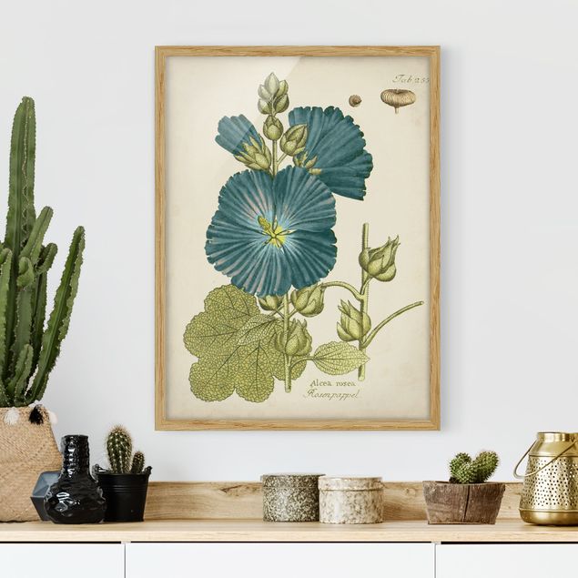 Gerahmte Bilder Blumen Vintage Botanik in Blau Rosenpappel