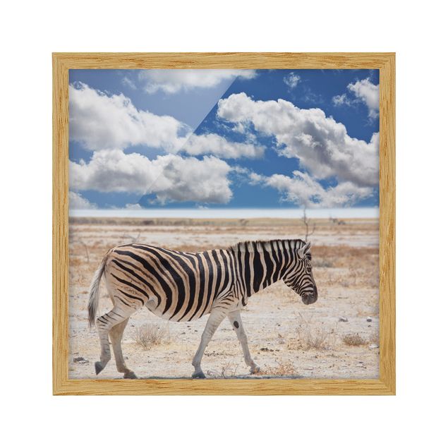 Landschaftsbilder mit Rahmen Zebra in der Savanne