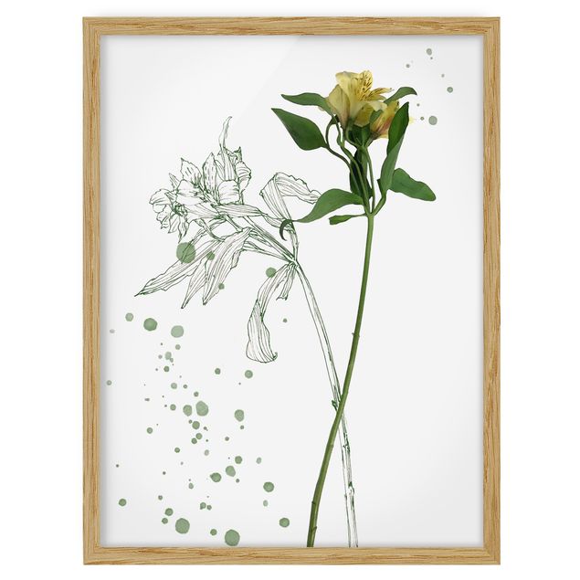 Bilder mit Rahmen Botanisches Aquarell - Lilie