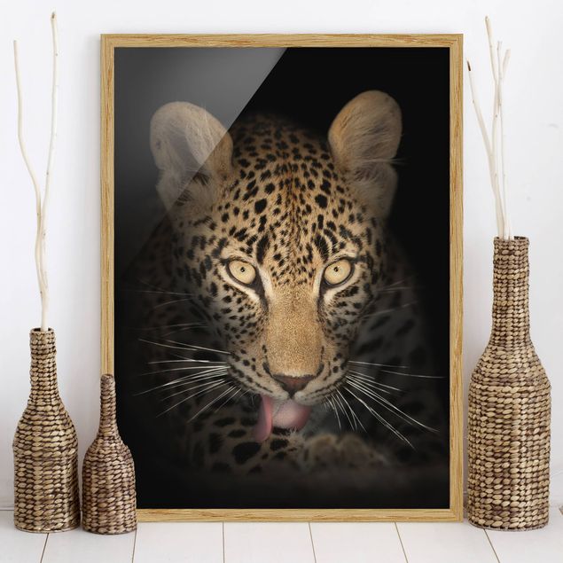Wandbilder Tiere Resting Leopard