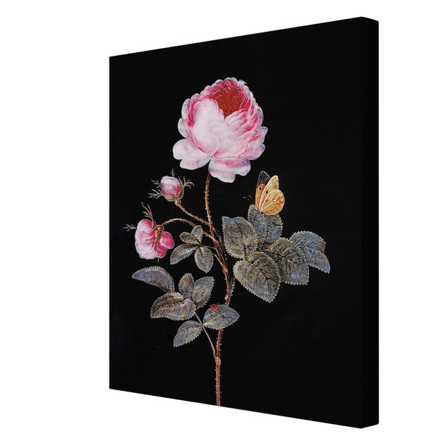 Wandbilder Barbara Regina Dietzsch - Die hundertblättrige Rose