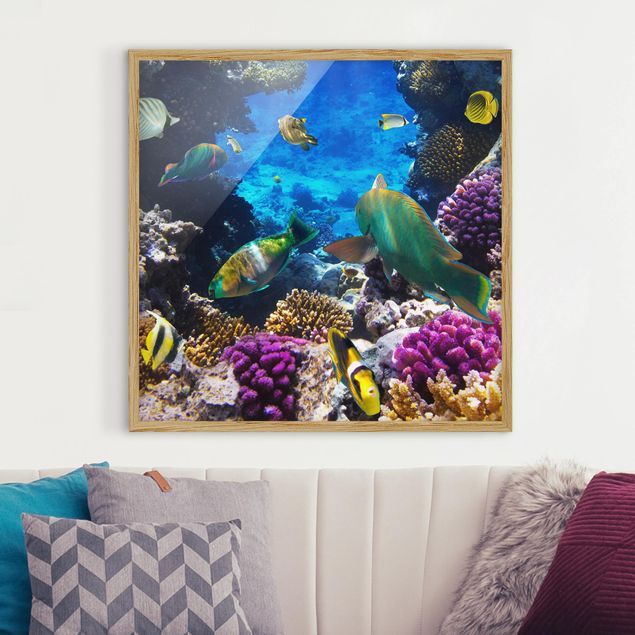 Landschaftsbilder mit Rahmen Underwater Dreams