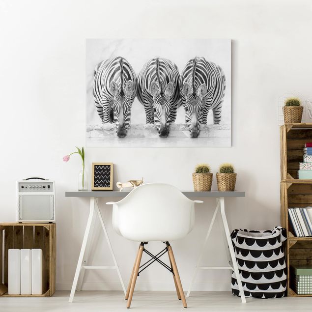 Wandbilder Zebra Zebra Trio schwarz-weiß