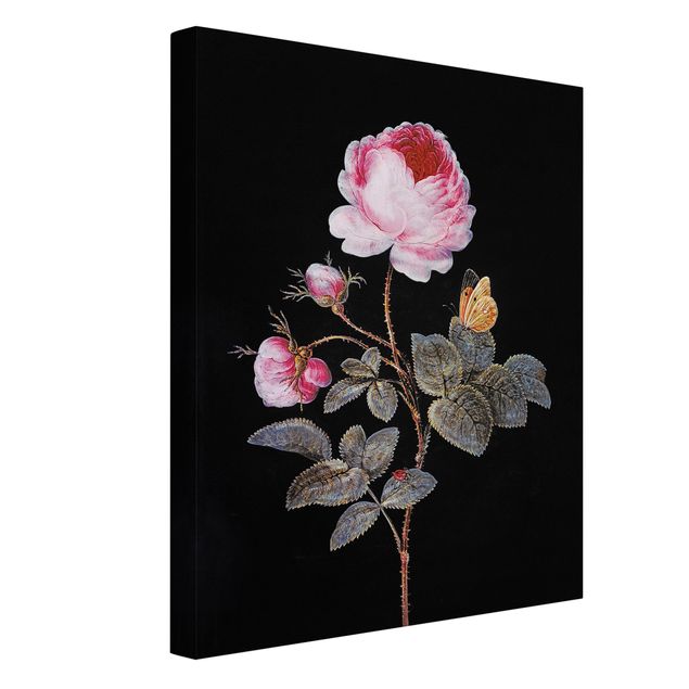 Kunstdrucke auf Leinwand Barbara Regina Dietzsch - Die hundertblättrige Rose