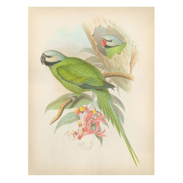 Leinwand Kunstdruck Vintage Illustration Tropische Vögel II