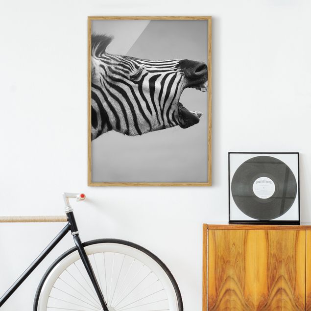 Wandbilder Brüllendes Zebra II