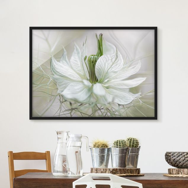 Bilder mit Rahmen Blumen Weiße Nigella