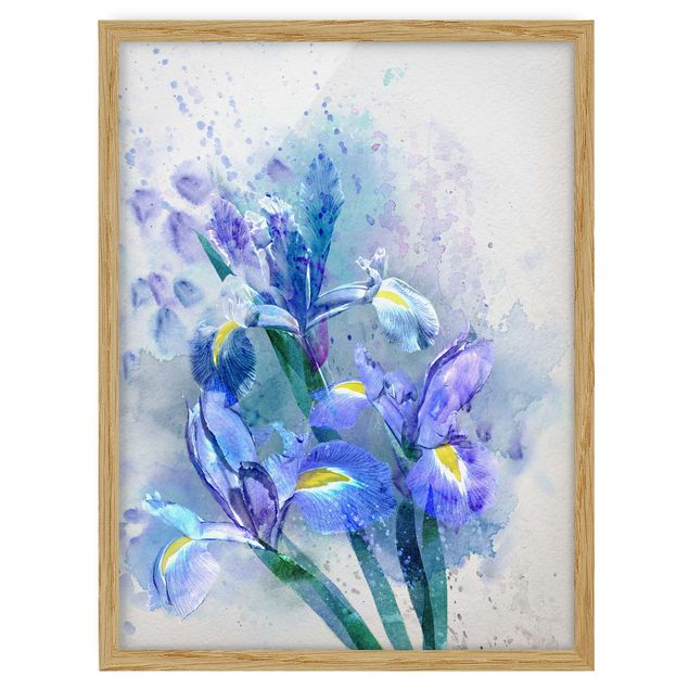 Bilder mit Rahmen Aquarell Blumen Iris
