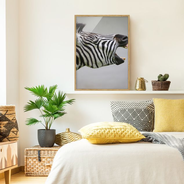 Wandbilder mit Rahmen Brüllendes Zebra