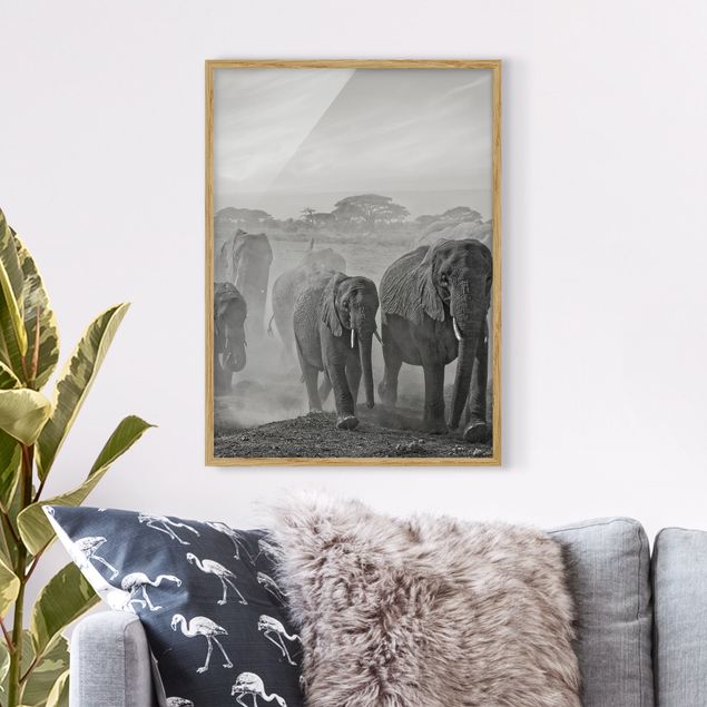 Wandbilder Tiere Elefantenherde