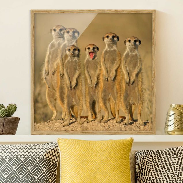 Wandbilder Tiere Meerkat Family