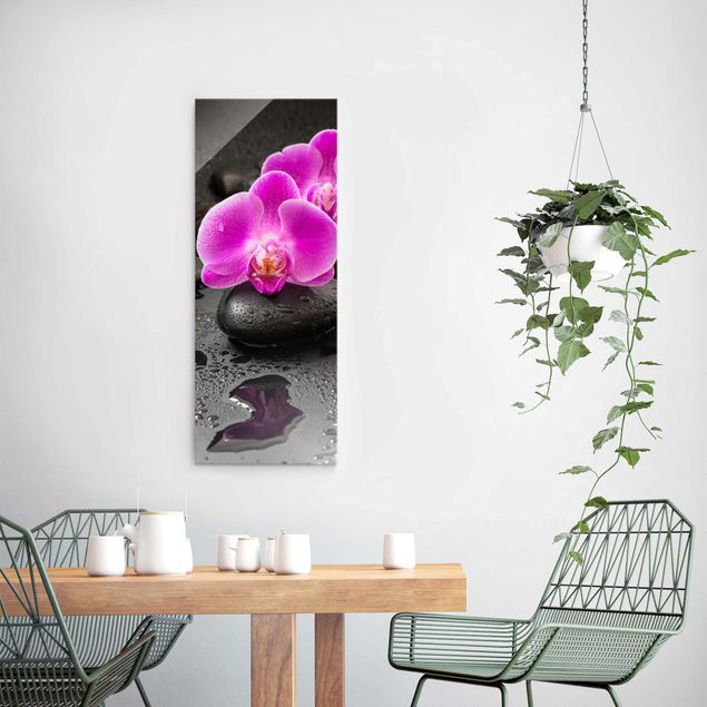 Glasbilder Blumen Pinke Orchideenblüten auf Steinen mit Tropfen