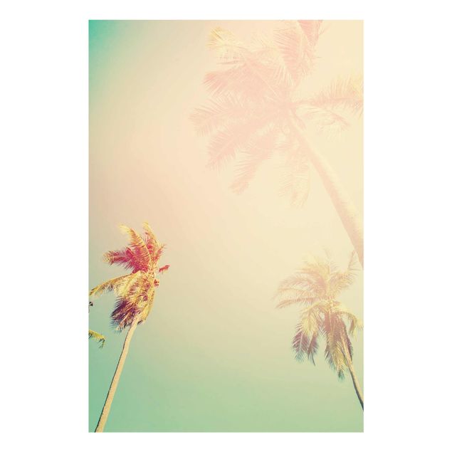Glas Wandbilder Tropische Pflanzen Palmen bei Sonnenuntergang III