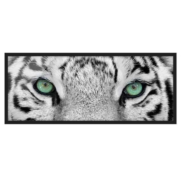 Bilder mit Rahmen Weißer Tiger