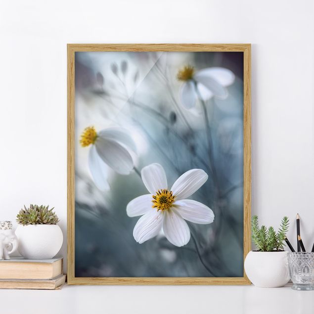 Gerahmte Bilder Blumen Kosmeen in Pastell