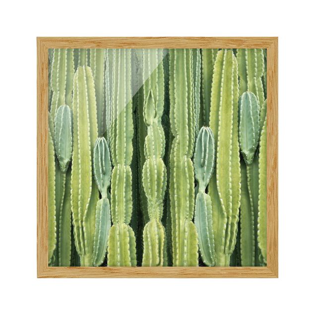 Bild mit Rahmen - Kaktus Wand - Quadrat 1:1