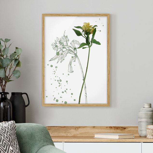 Kunstdrucke mit Rahmen Botanisches Aquarell - Lilie