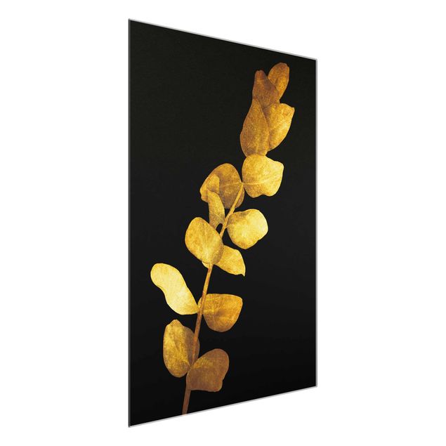 Glasbilder Natur Gold - Eukalyptus auf Schwarz