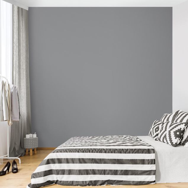 Tapeten modern Colour Cool Grey