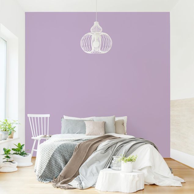 Fototapete modern Colour Lavender