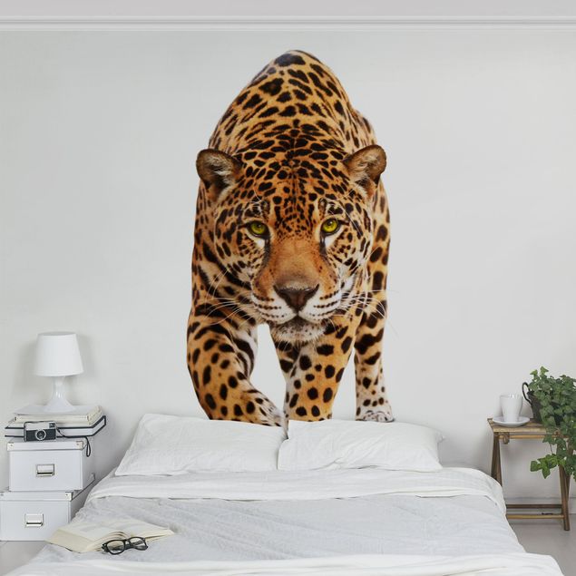 Fototapete Design Creeping Jaguar