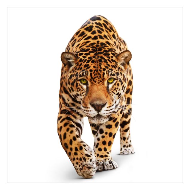 Fototapete - Creeping Jaguar