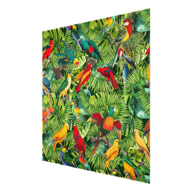 Glasbilder Bunte Collage - Papageien im Dschungel