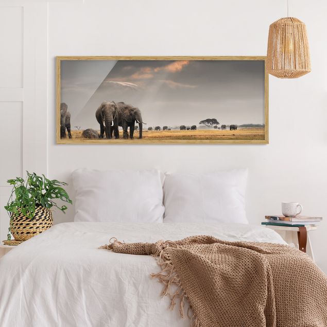 Wandbilder Elefanten der Savanne