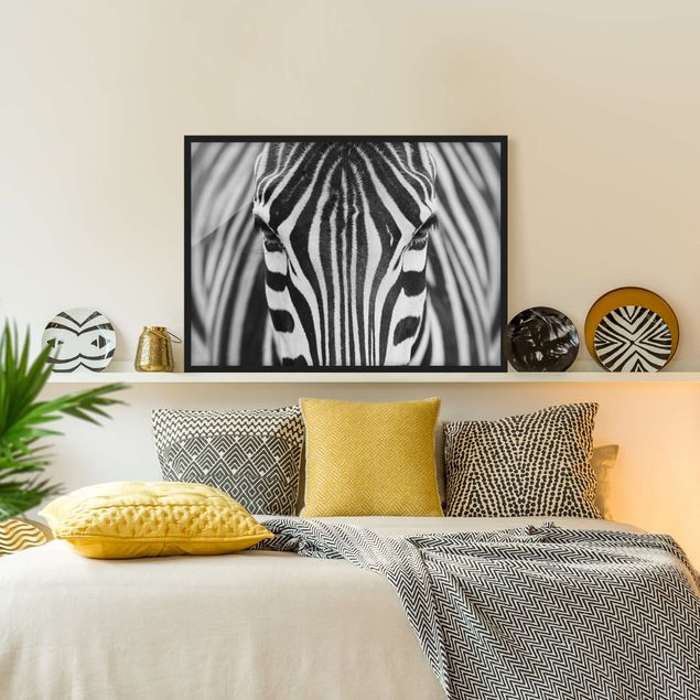 Schöne Wandbilder Zebra Look