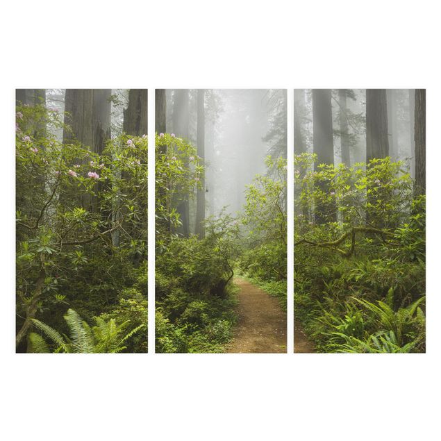 Schöne Wandbilder Nebliger Waldpfad