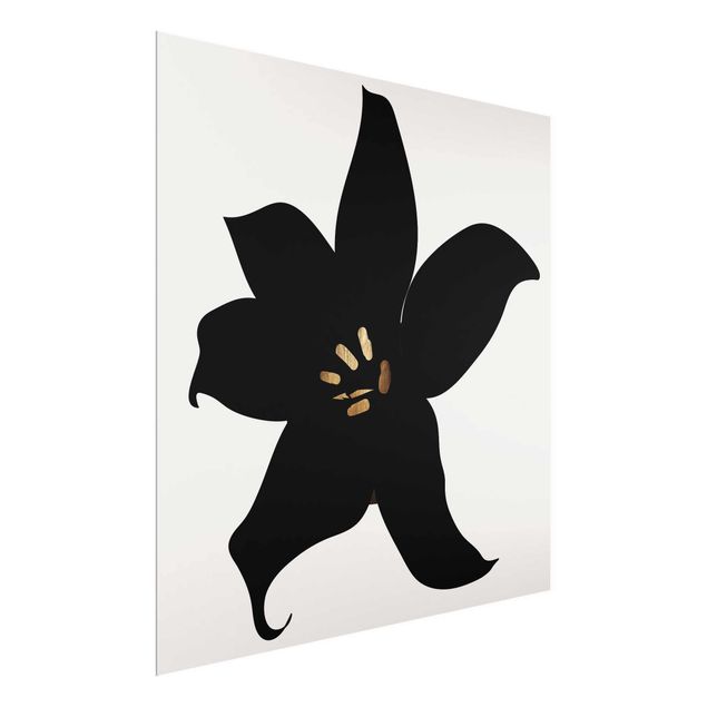 Bilder für die Wand Grafische Pflanzenwelt - Orchidee Schwarz und Gold