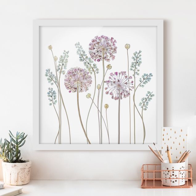 Blumen Bilder mit Rahmen Allium Illustration