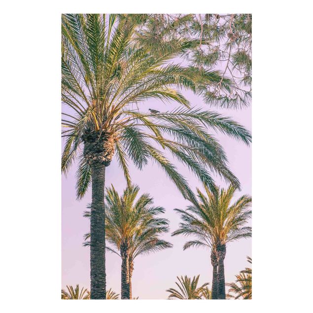 Bilder für die Wand Palmen im Sonnenuntergang