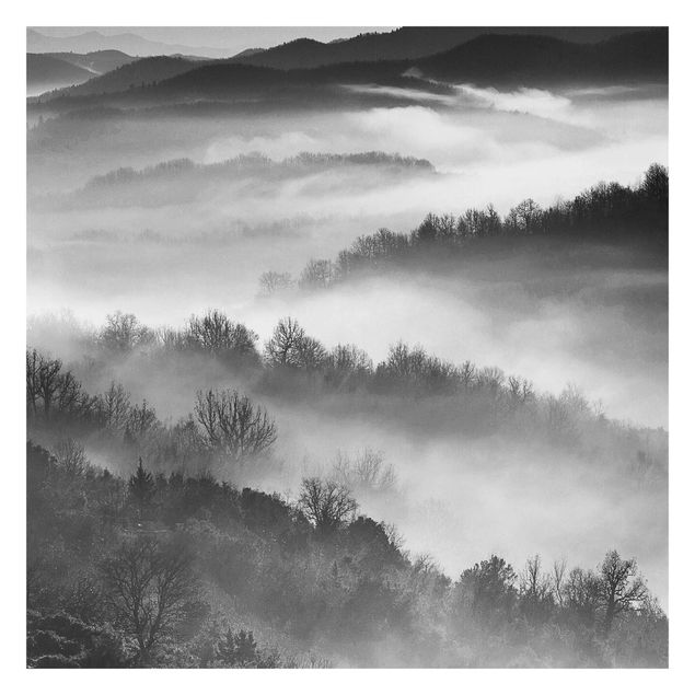 Fototapete Design Nebel bei Sonnenuntergang Schwarz Weiß