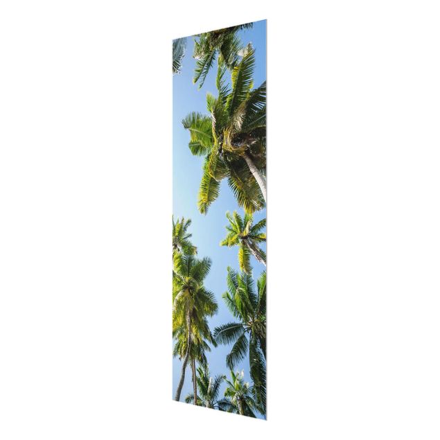 Glasbild - Palmen Himmel - Panel