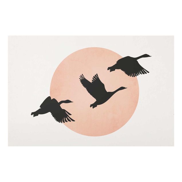 Glasbild Landschaften Vögel vor rosa Sonne III