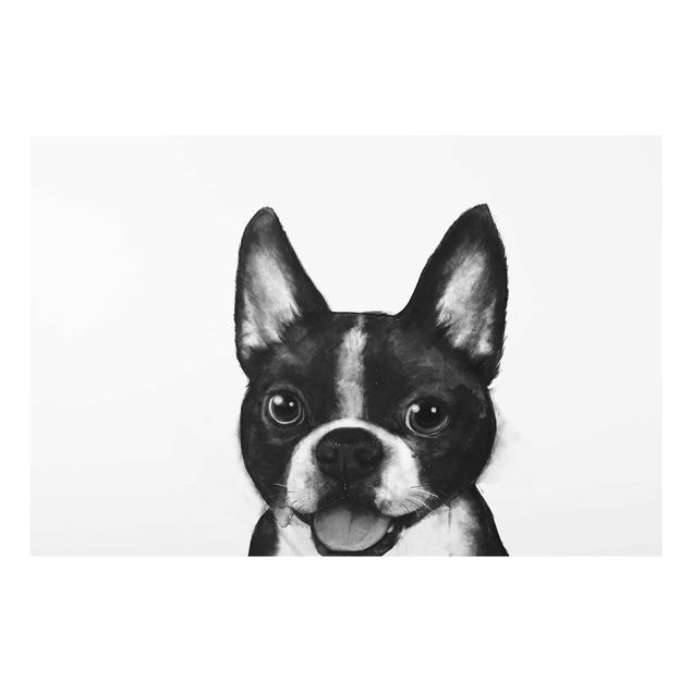 Glasbild - Illustration Hund Boston Schwarz Weiß Malerei - Querformat 2:3