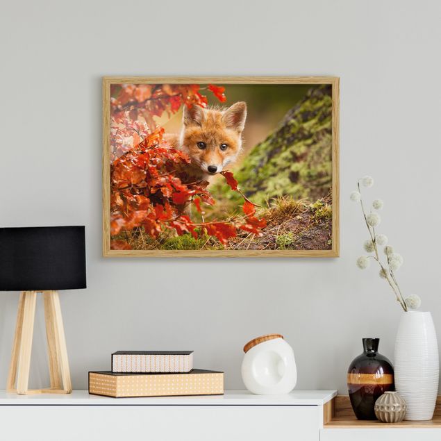 Wandbilder Tiere Fuchs im Herbst