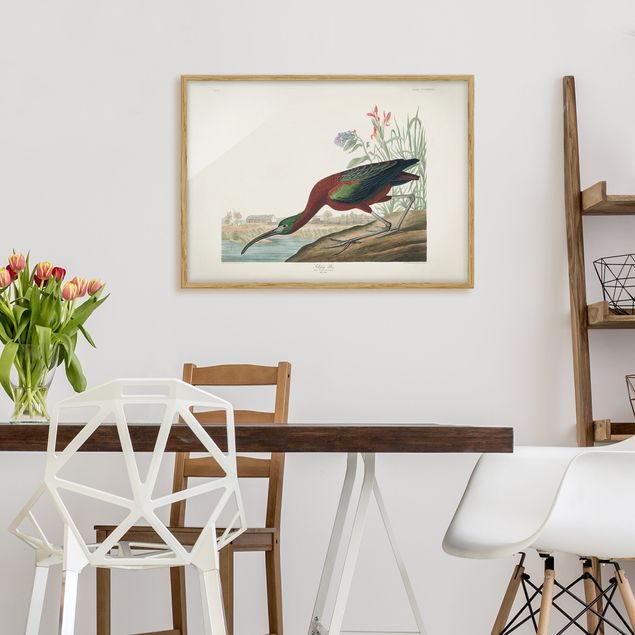 Schöne Wandbilder Vintage Lehrtafel Brauner Ibis