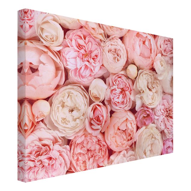 Leinwandbild Vintage Rosen Rosé Koralle Shabby