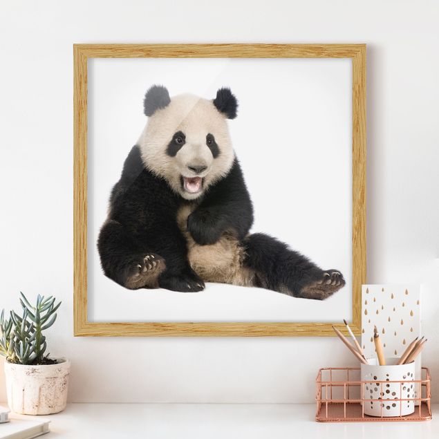 Wandbilder Lachender Panda