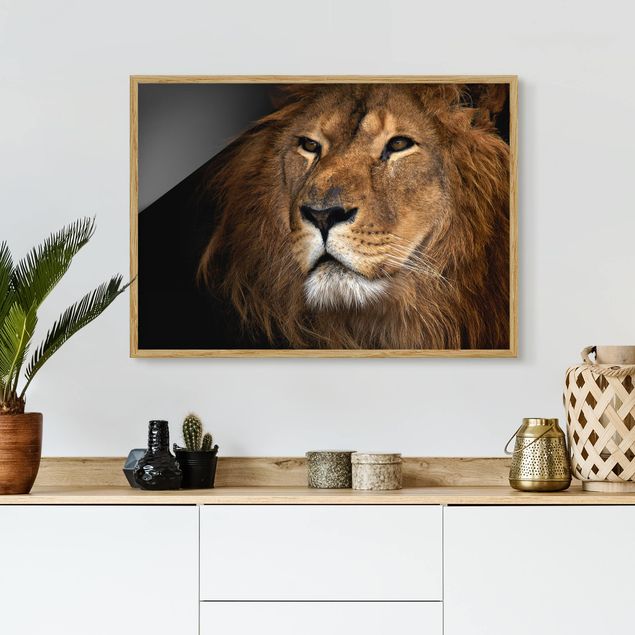 Schöne Wandbilder Löwenblick