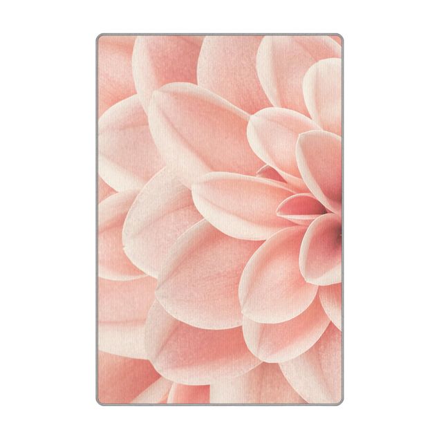 grosser Teppich Dahlie Rosa Blütenblätter Detail