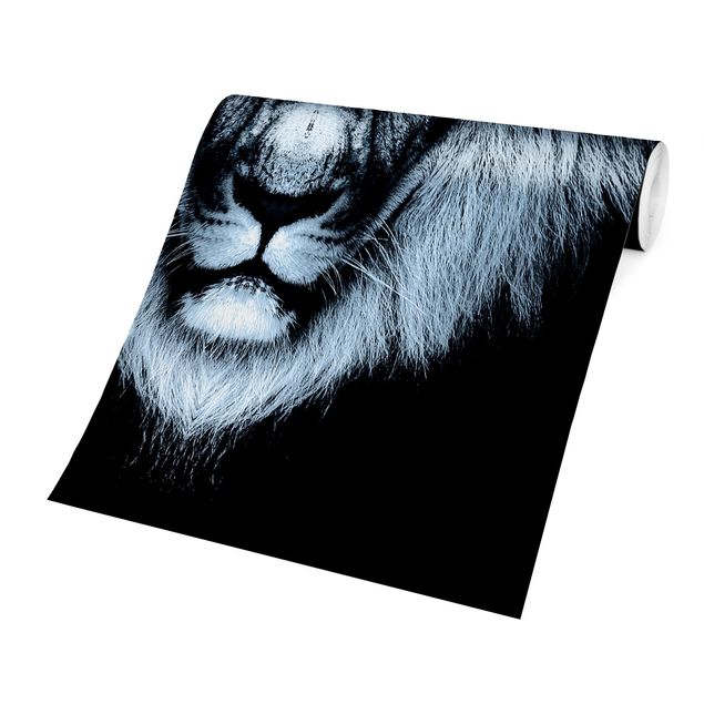 Schöne Fototapete Dark Lion