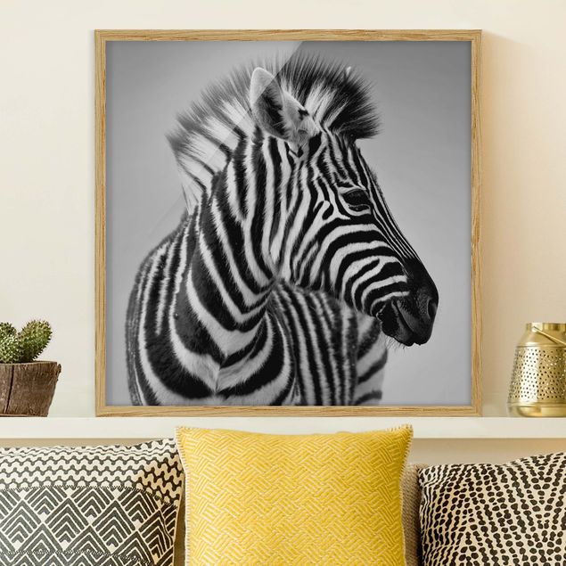 Wandbilder abstrakt Zebra Baby Portrait II