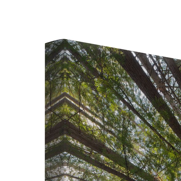 Leinwandbild 3-teilig - Mammutbaum Baumkronen - Panoramen hoch 1:3