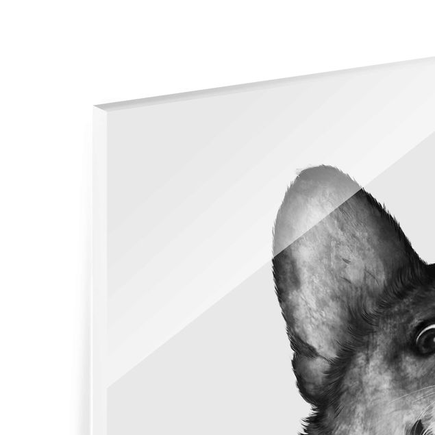 Glasbild - Illustration Hund Corgi Weiß Schwarz Malerei - Querformat 2:3