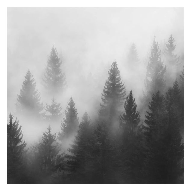 Wandtapete Design Nadelwald im Nebel Schwarz Weiß